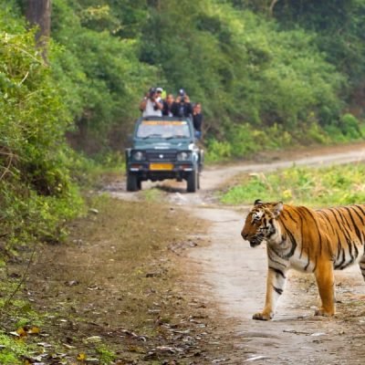 Jim Corbett