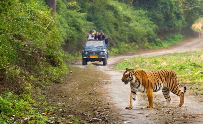 Jim Corbett Travel