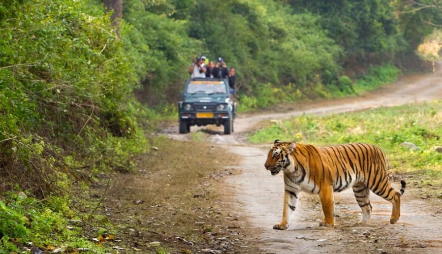 Jim Corbett Travel