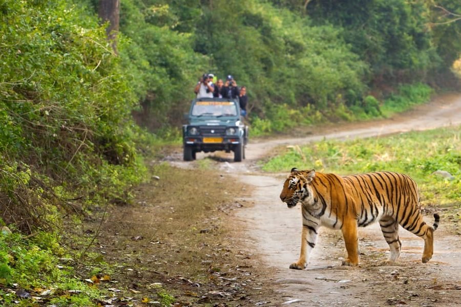 Jim Corbett Travel